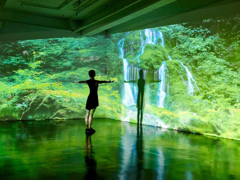 How Immersing in Green Spaces Calms the Mind and Body in Albany